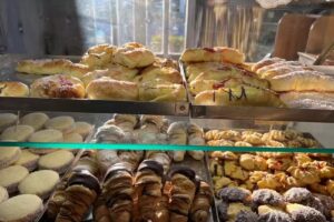 Anita Panader&iacute;a