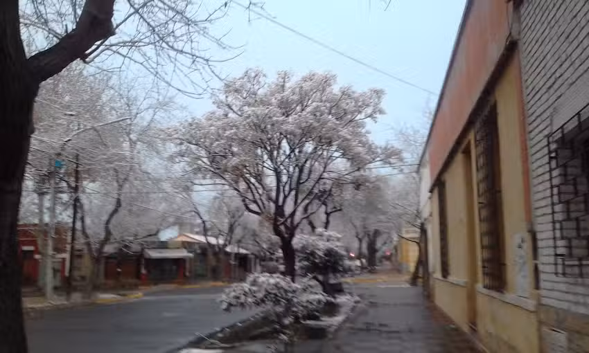 Battel PASTELERIA ARTESANAL