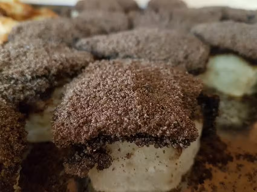 Berlinesa Panaderia y Pasteler&iacute;a