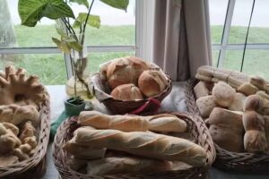 Chola Panader&iacute;a