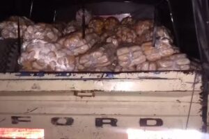 El Triunfo Panaderia Artes.