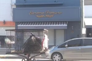 Escritorio Pattiserie