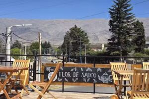 Flor de Sauco: Casa de Te