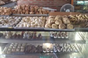 Guillermina Panader&iacute;a