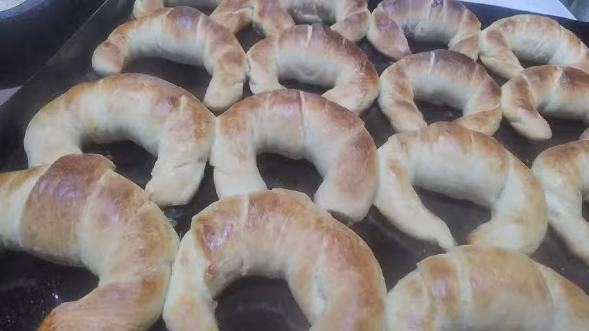 J.t.l panificaci&oacute;n