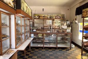 La Bombonera Panaderia y Confiteria