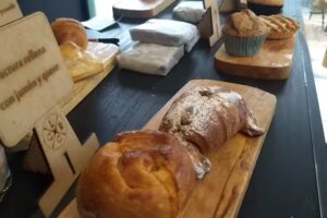 LA CREACIÓN – ᴘᴀɴᴀᴅᴇʀɪ́ᴀ ﹠ ᴄᴀꜰᴇ́