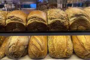 Los Pinos Ciudad Jardin