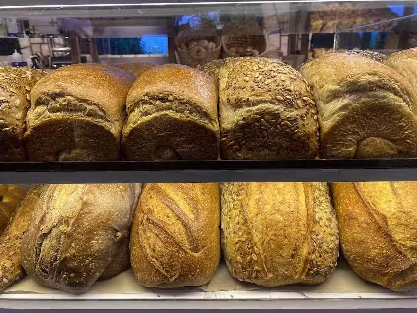 Los Pinos Ciudad Jardin