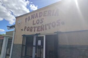 Los porte&ntilde;itos 2