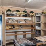 Los Reyes de la Medialuna