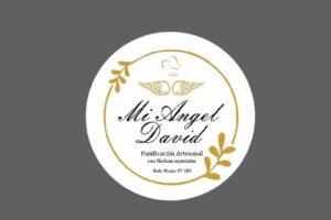 Mi &aacute;ngel David de Carina Huber