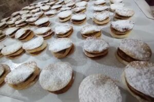 Mi Dulce Lim&oacute;n- de Lorena Pavez