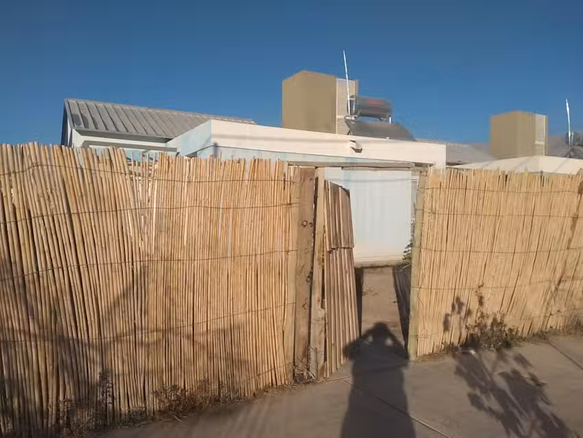 Panader&iacute;a adelee