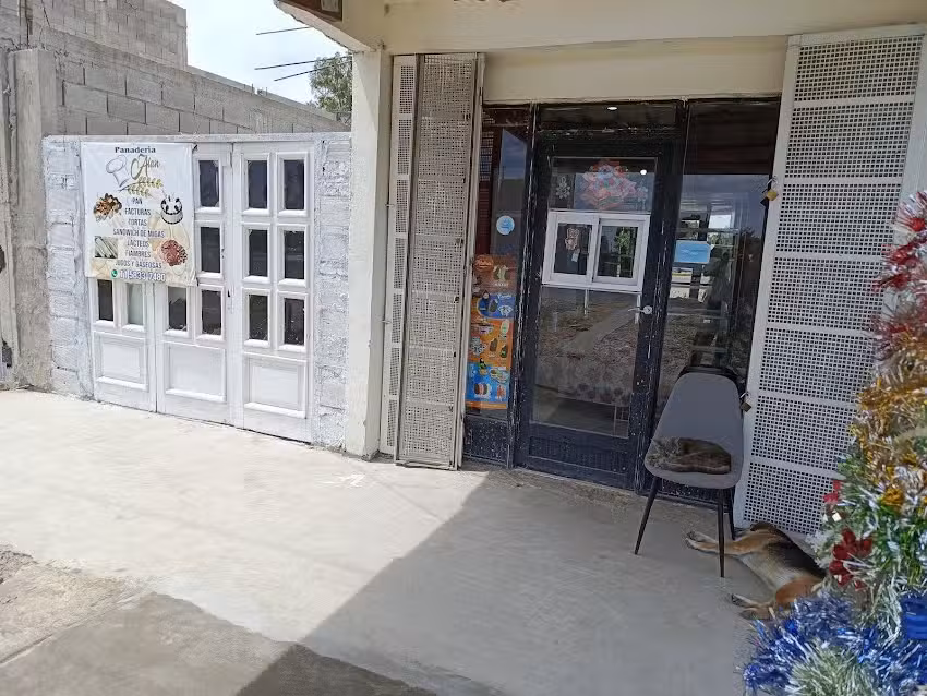 Panader&iacute;a alan