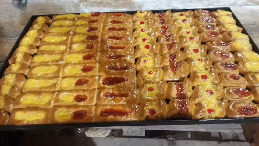 Panader&iacute;a angelica