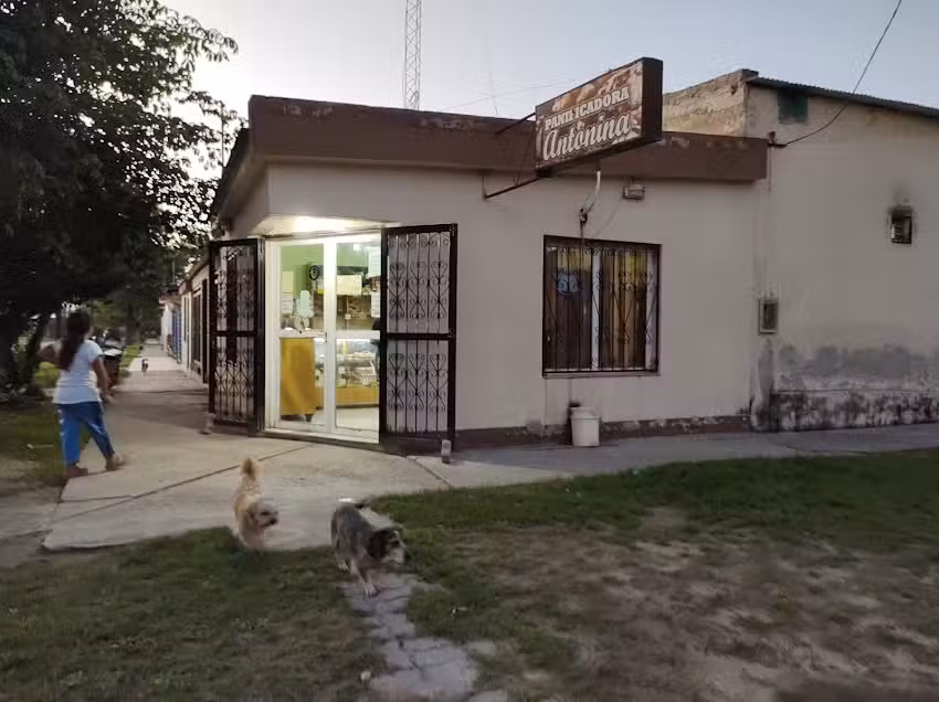 Panader&iacute;a antonina