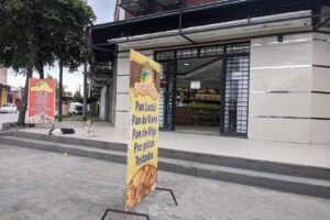 Panaderia C&aacute;mpos de trigo