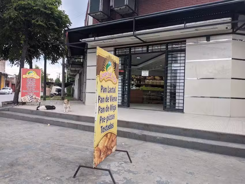 Panaderia C&aacute;mpos de trigo