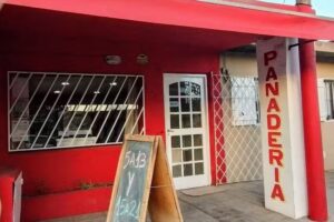 𝒑𝒂𝒏𝒂𝒅𝒆𝒓𝒊𝒂 𝒄𝒉𝒂𝒔𝒄𝒐𝒎𝒖𝒔