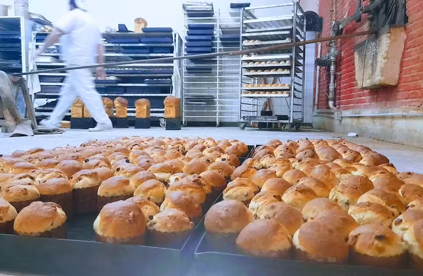 Panader&iacute;a Croute