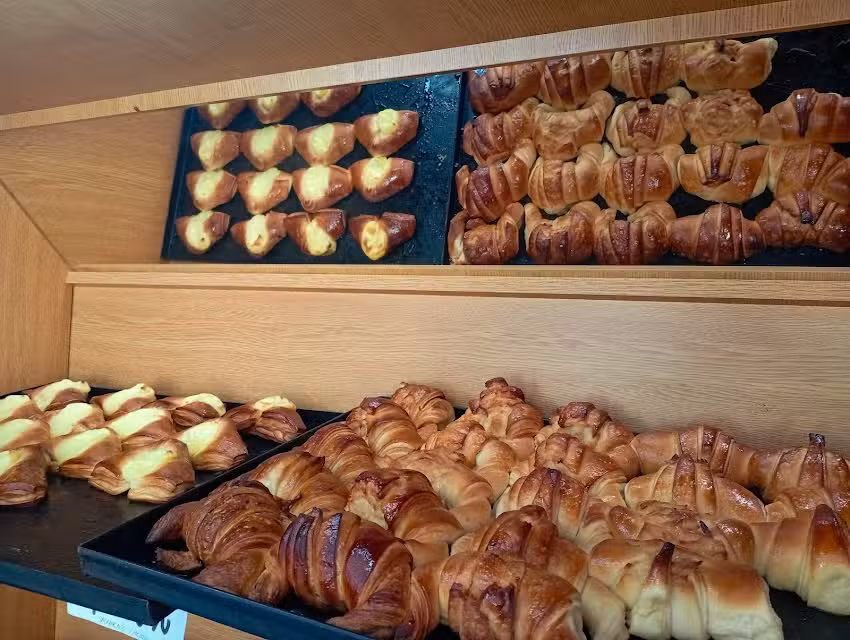 Panader&iacute;a David