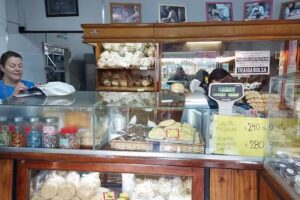 Panader&iacute;a del Campo