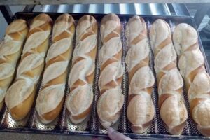 PANADER&Iacute;A Delfina