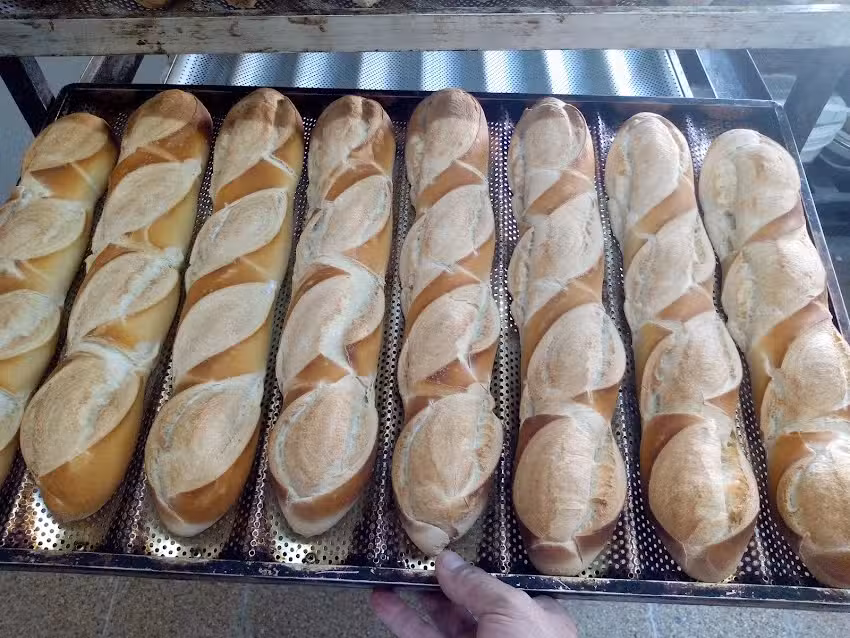 PANADER&Iacute;A Delfina
