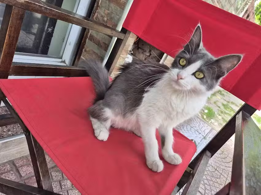 Panaderia Dulce Mania