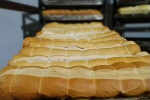 Panader&iacute;a El Riel