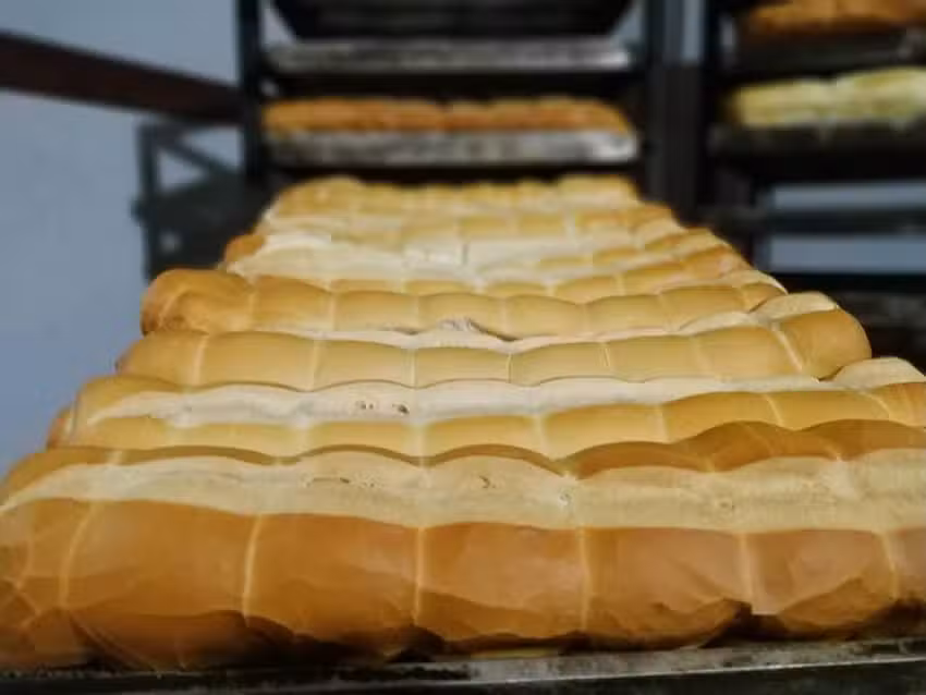 Panader&iacute;a El Riel