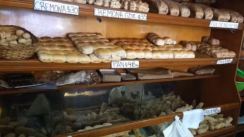 Panader&iacute;a La Artesanal