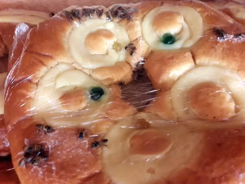 Panader&iacute;a &ldquo;La Tacuarita&rdquo;