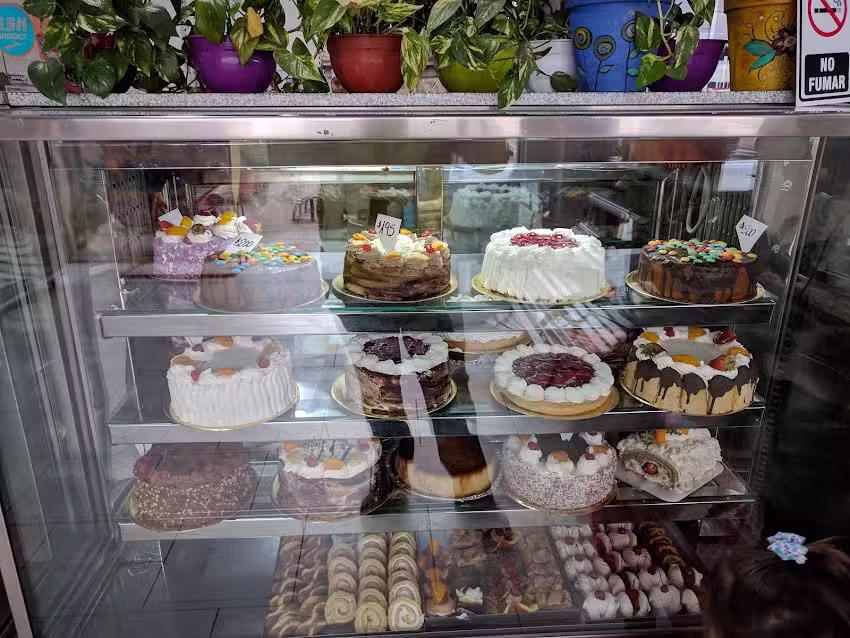 Panader&iacute;a La T&iacute;a Chona