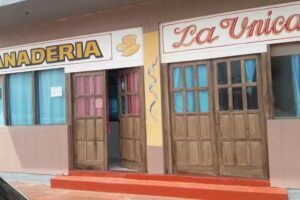 Panader&iacute;a La Unica