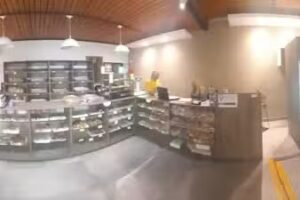 Panader&iacute;a Labucana