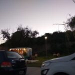 Panaderia Los Girasoles