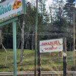 Panader&iacute;a Los Nietos