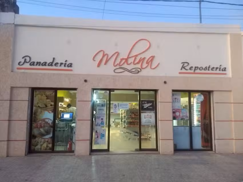 Panader&iacute;a Molina