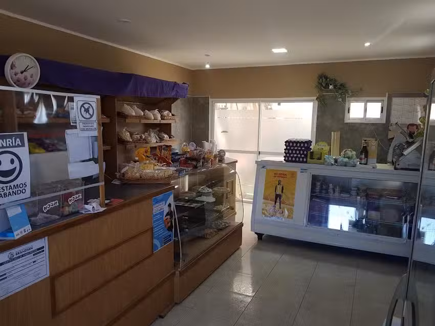 Panader&iacute;a Morena