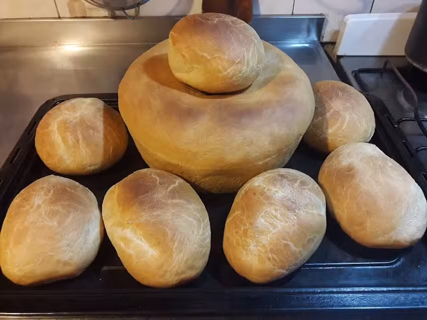 Panader&iacute;a &Ntilde;am &Ntilde;am