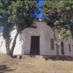 Panader&iacute;a Pandora