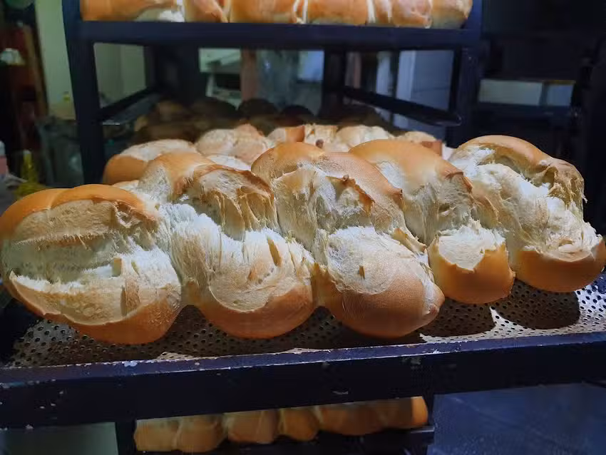 Panaderia panes del norte