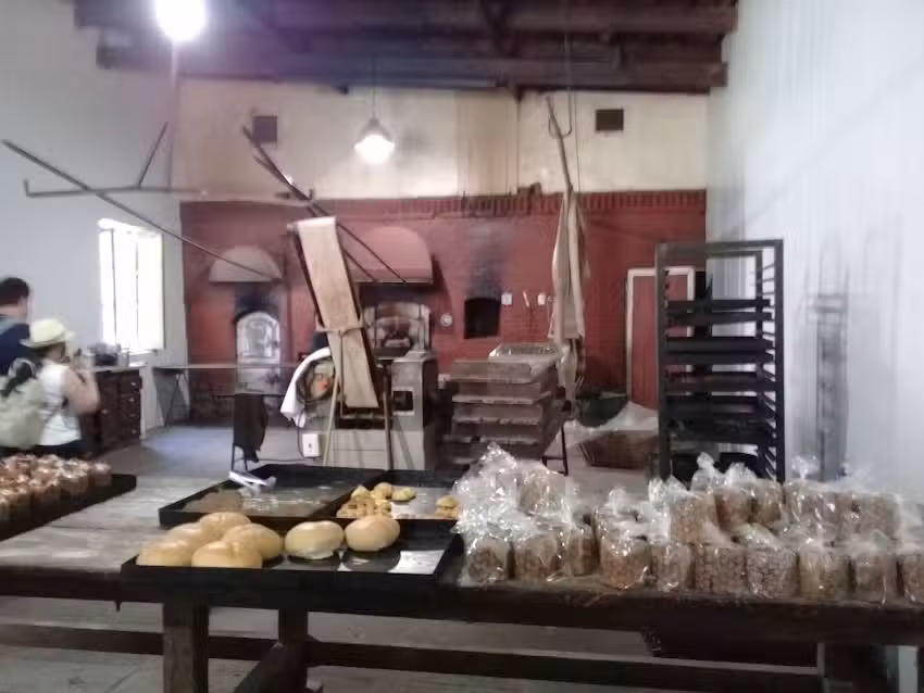 Panader&iacute;a Roc&iacute;o Isla Mart&iacute;n Garc&iacute;a