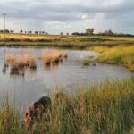 Panader&iacute;a Santa Rita