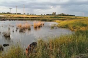 Panader&iacute;a Santa Rita