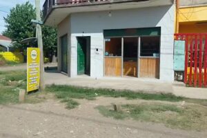 Panader&iacute;a Tizi