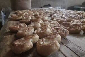 PANADERIA VILLA MARIA(MIGNOLA)