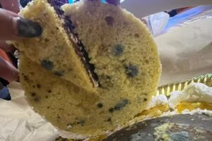 Panaderia y confitería Canela